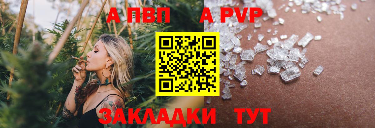 A PVP крисы CK Сегежа