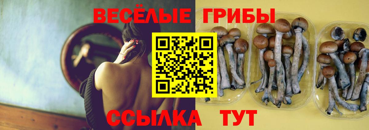 Псилоцибиновые грибы ЛСД  Вход с VPN  закладки  Сегежа 